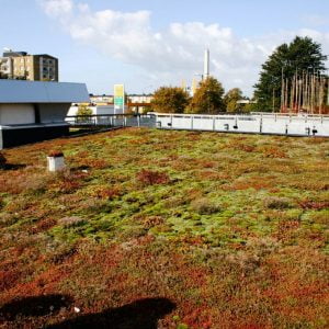 Scandinavian Green Roof Inst. Scandinavian Green Roof Inst.